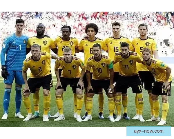 世界杯竞猜预测分析全面解读与各队实力对比预测分析